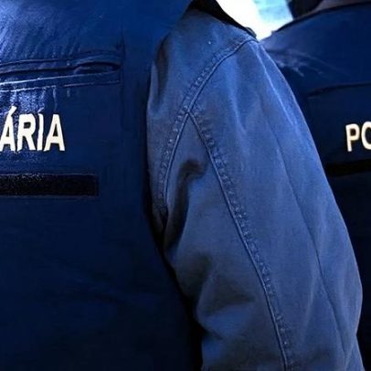 PJ detém quatro suspeitos por furtos qualificados e falsificação de documentos