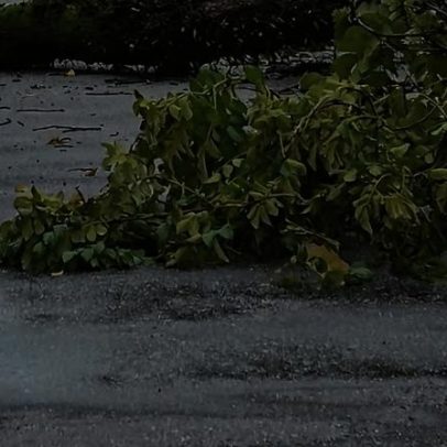 Proteção Civil regista dezenas de ocorrências por chuva forte