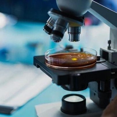 Mais de 6 milhões de euros para nove investigações biomédicas em Portugal