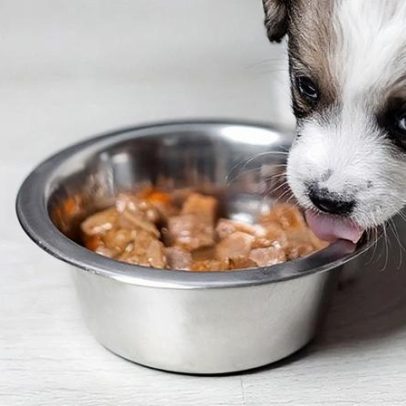 Isenções de IVA sobre adubos e alimentação para animais de companhia prolongadas