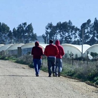PJ desmantela rede criminosa que controlava 500 imigrantes, nem todos vítimas
