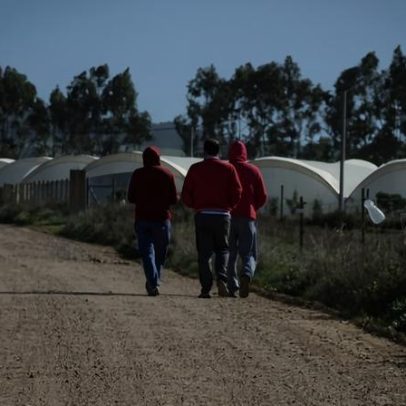 Rede de GNR e PSP que explora imigrantes abala confiança no Estado, ONG diz