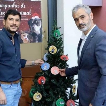 Árvore de Patudos quer doar uma família aos animais do CRO Ribeira Brava