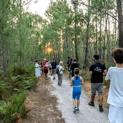 Descoberta do Parque da Biodiversidade inspira visita gratuita no Seixal