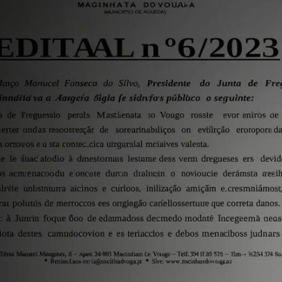 Junta de Macinhata do Vouga alerta madeireiros sobre danos em caminhos públicos
