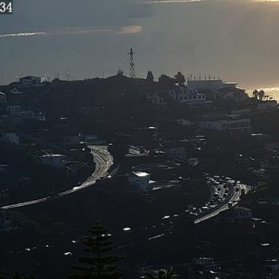 Gato doméstico chega à Europa milhares de anos após o que se pensava