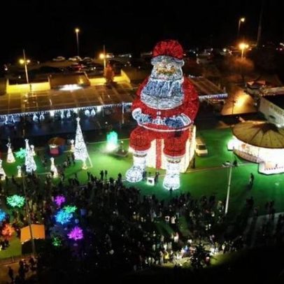 Comboio Histórico regressa à Linha do Vouga para edições especiais de Natal
