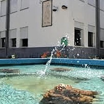 Escola José Régio de Portalegre incentiva inovação e cidadania digital
