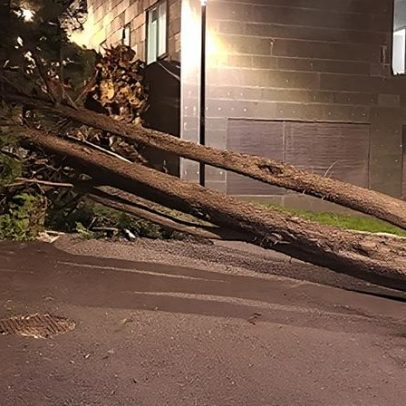 Vento forte provoca estragos em várias zonas do país