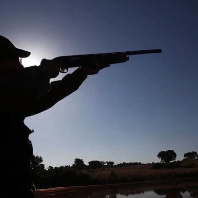 Três detidos por caça ilegal em área protegida em Seia e Trancoso