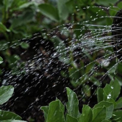 Fundo Ambiental apoia agrofotovoltaicos e veículos elétricos