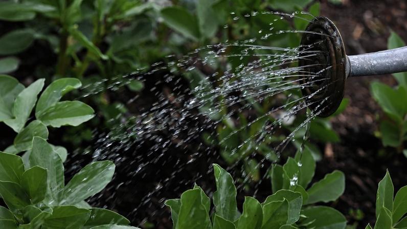 Fundo Ambiental apoia agrofotovoltaicos e veículos elétricos