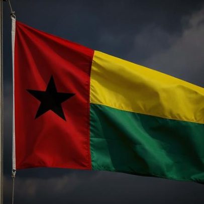 Seis opositores libertados após detenções por golpe na Guiné-Bissau