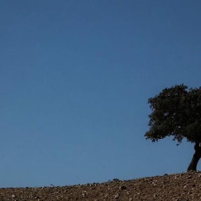 Alentejo: Ricardo Pinheiro recebe apoio do PS e PSD para a CCDR