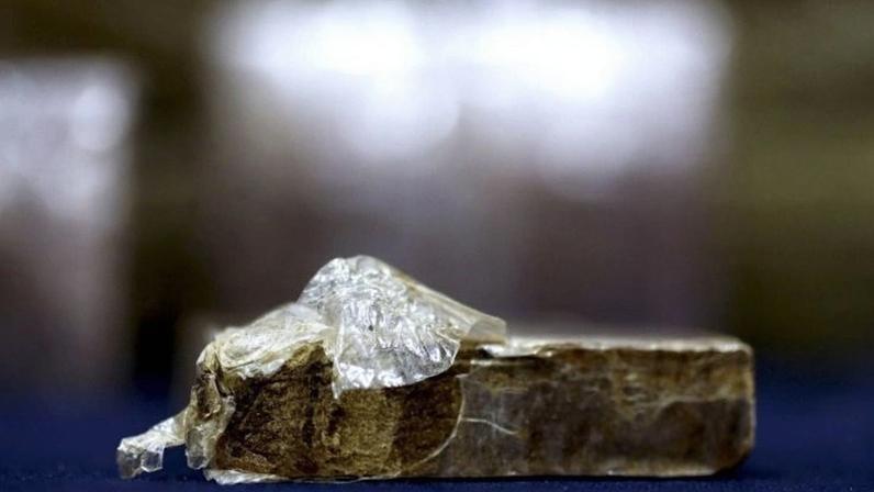 Encomendas foram detetadas numa empresa de distribuição na Maia, no distrito do Porto.