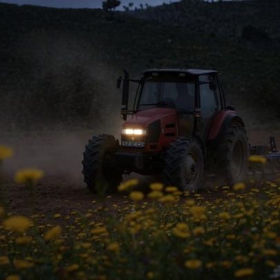 Portugal regista a segunda maior quebra da produtividade agrícola na UE
