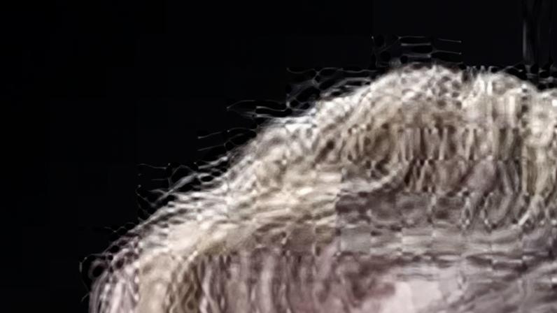 BE associa-se à convocatória da ONU sobre os EUA