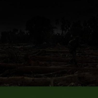 Mortes por inundações na Indonésia sobem para 631
