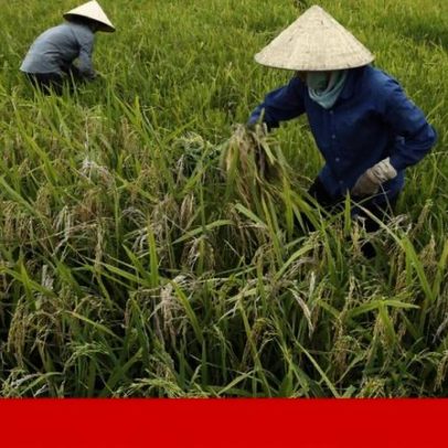ONU alerta que IA pode ampliar desigualdades entre países pobres e ricos