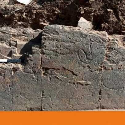 Arte rupestre coloca Mação no centro da agenda cultural e científica europeia