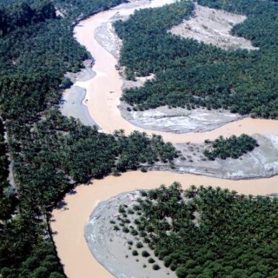 Desflorestação em Sumatra agrava cheias ciclónicas