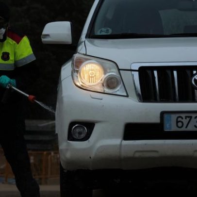 Meia centena de javalis mortos na Catalunha com suspeita de peste suína africana