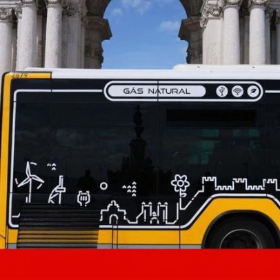 Rui Lopo é eleito novo presidente da Carris