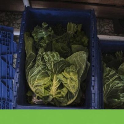 Do campo à cidade: produtos saem directamente para o consumidor