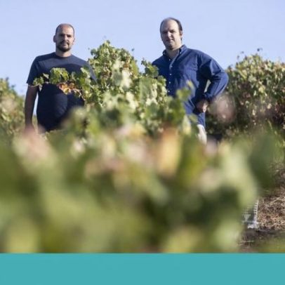 Da Mêda apresenta o curioso vinho-macaco, uma proposta original
