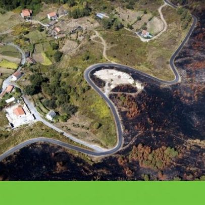 Levar o planeta à revisão custa 7 biliões por ano; não agir é mais caro