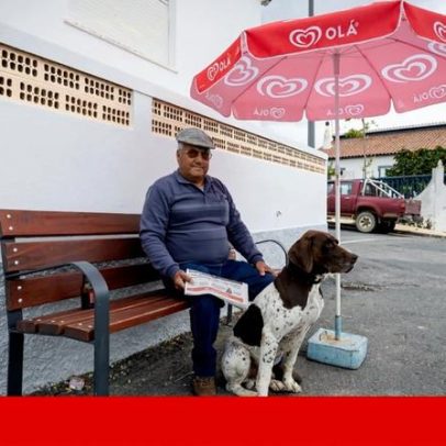 No Algarve, jornais já não chegam; vozes locais começam a silenciar