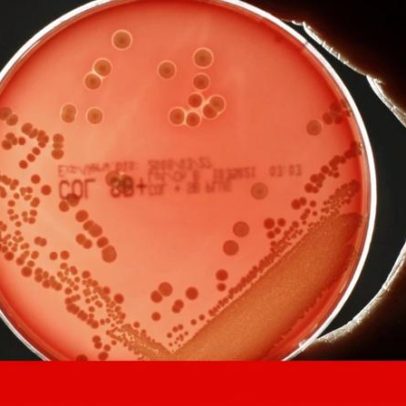 Mais de 12 milhões de euros em bolsas europeias para a ciência em Portugal