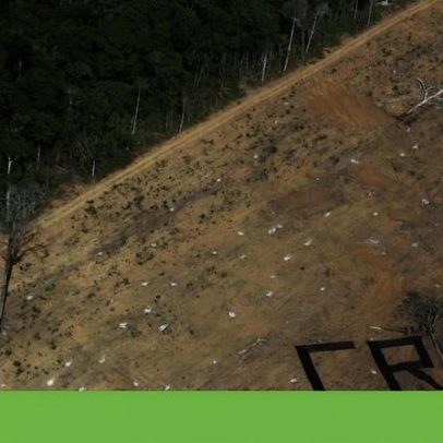 Imazon vence maior prémio ambiental das Nações Unidas