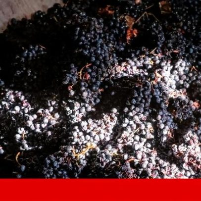 Produção de vinho deverá cair 20% em 2025