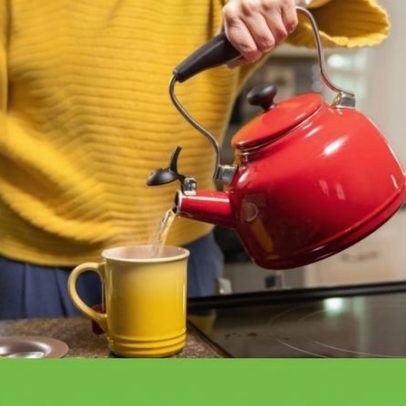 E-Lar: 25 mil candidaturas em avaliação para apoios à compra de electrodomésticos