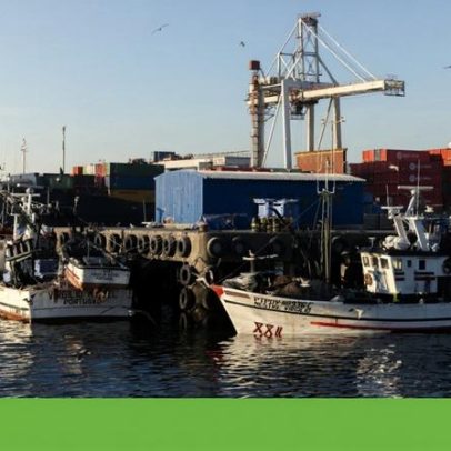 Acordo de pescas reduz captura de carapau, solha e linguado em Portugal