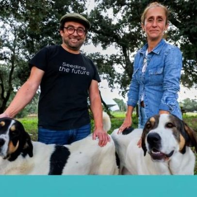 Vivid Farms é o produtor do ano 2025 nos Prémios Mesa Marcada