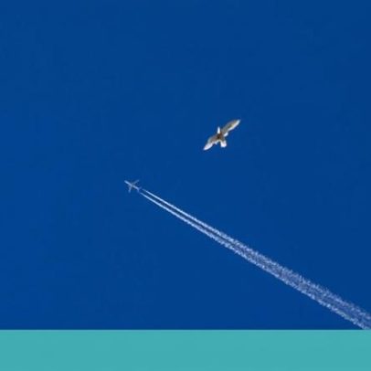 Responsável de agência de viagens em Guimarães acusado de burlas