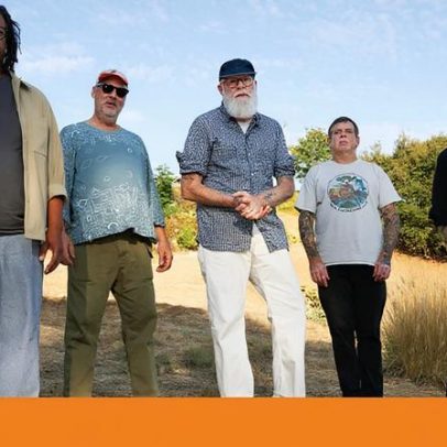 As metamorfoses no mundo dos Tortoise marcam nova fase do ecossistema