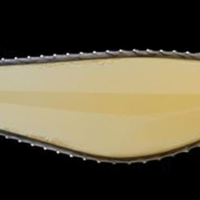 Casa de Santar apresenta Colheita Tardia 2022 Outono