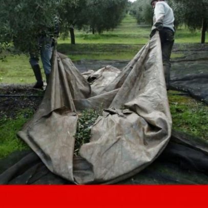GNR relata imigrantes a viver em condições deploráveis em Beja