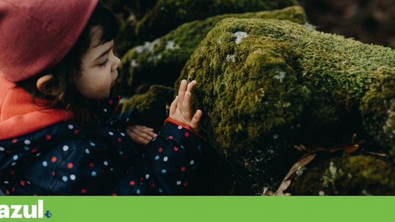 Nem todos os musgos estão legalmente protegidos, mas a apanha destas plantas é proibida em áreas protegidas