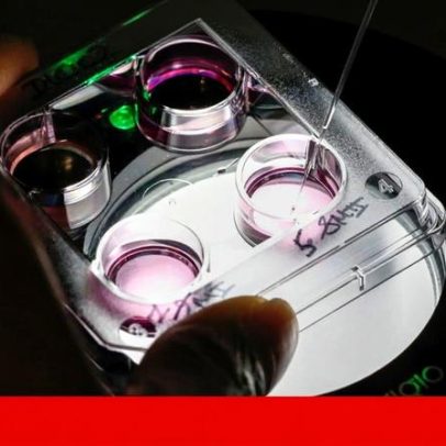 Elites chinesas recorrem à gestação de substituição nos EUA para ter filhos