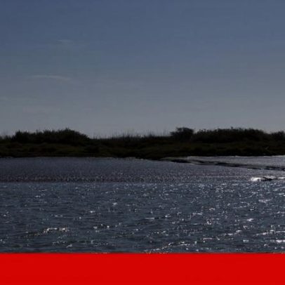 Maior ilha do Tejo, inundada há nove anos, vendida por 5 milhões para turismo ecológico
