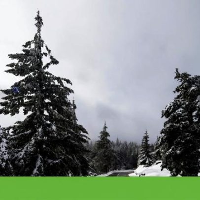 Inverno inicia com neve, agitação marítima e aviso laranja em 11 distritos