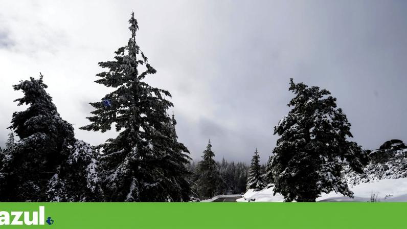 Inverno inicia com neve, agitação marítima e aviso laranja em 11 distritos