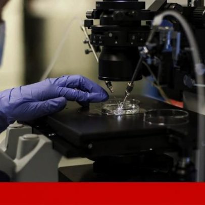 Fertilidade: lista de espera sobe; 68,5% de consultas ultrapassam prazos legais