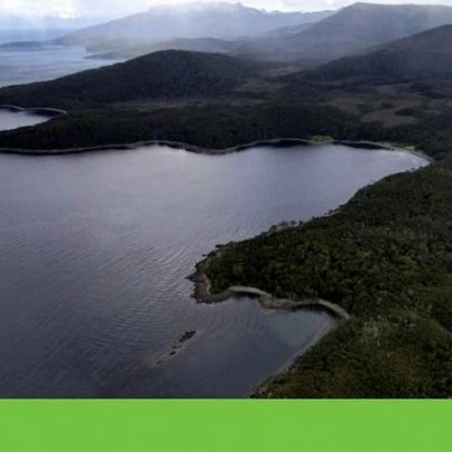 Chile quer criar parque nacional no fim do mundo para proteger a vida selvagem