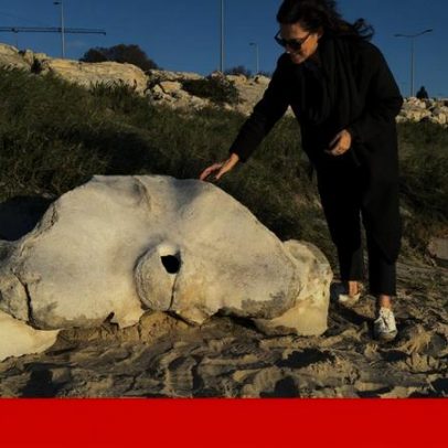 Osso de baleia de milhares de anos aparece na praia da Figueira da Foz