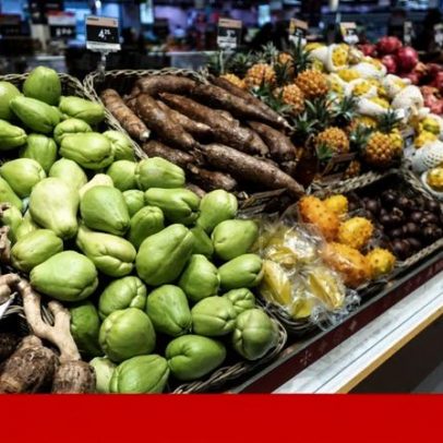 Alimentação: da inevitabilidade à estabilização